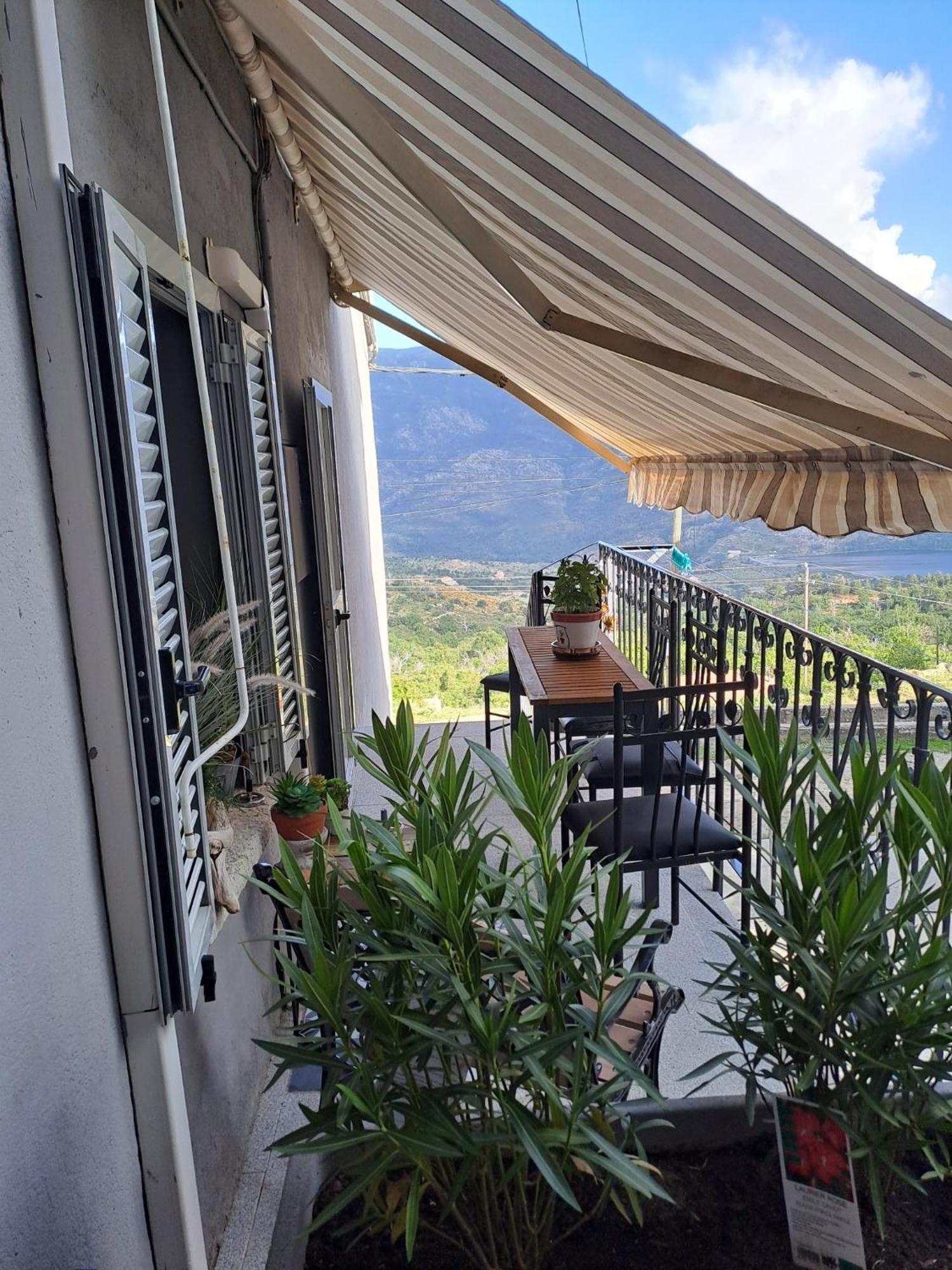 Apartamento Location En Corse Au Pied Du Monte Cintu Lozzi Exterior foto